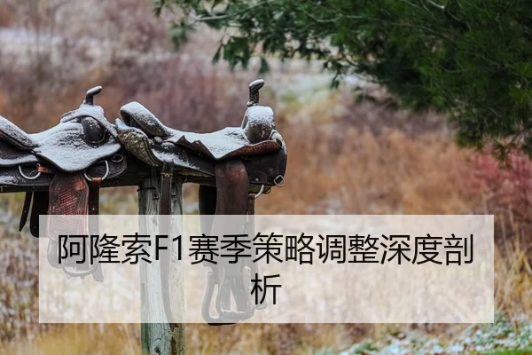 a-long-suo-sai-ji-ce-lve-tiao-zheng-shen-du-pou-xi-2-337.jpg